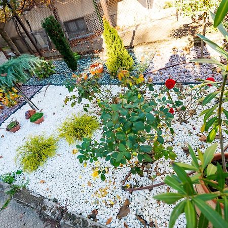 Devin Coworking & Coliving Apartment Exterior photo